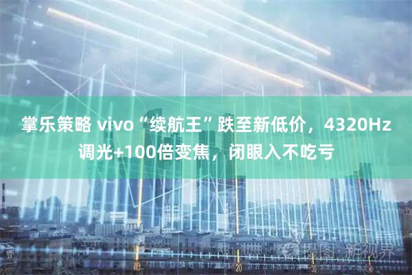 掌乐策略 vivo“续航王”跌至新低价，4320Hz调光+100倍变焦，闭眼入不吃亏