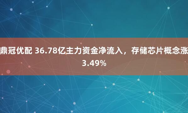 鼎冠优配 36.78亿主力资金净流入，存储芯片概念涨3.49%