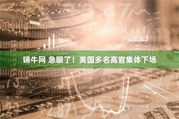 锦牛网 急眼了！美国多名高官集体下场