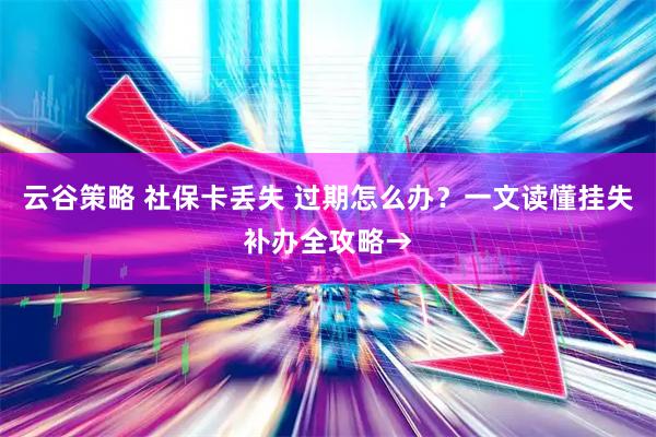 云谷策略 社保卡丢失 过期怎么办？一文读懂挂失补办全攻略→